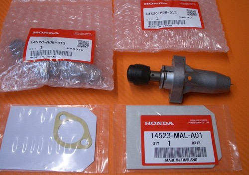 Steuerkettenspanner - 2x,