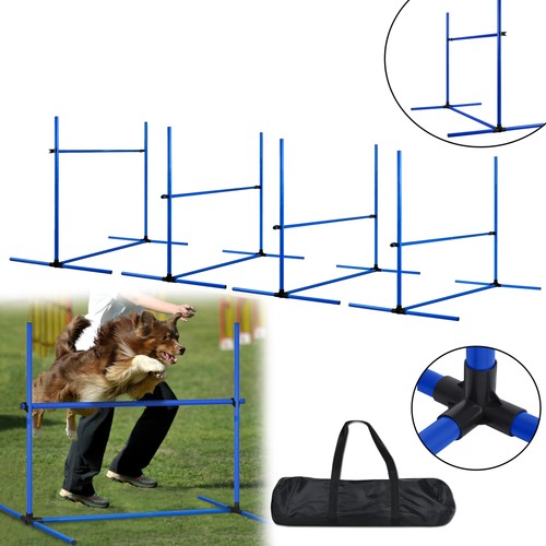 Hunde agility set training - hunde,