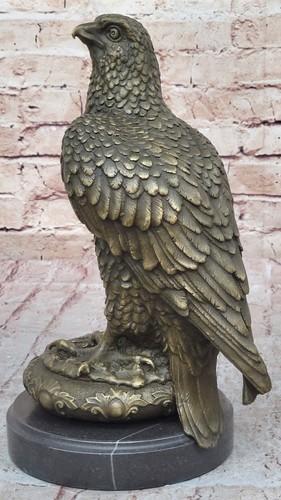 Bald adler groß - adler,