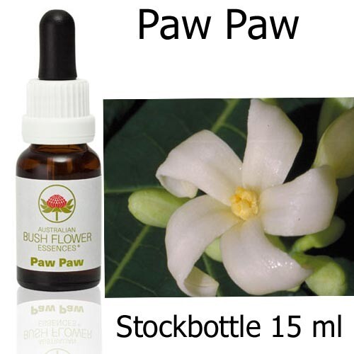 paw paw