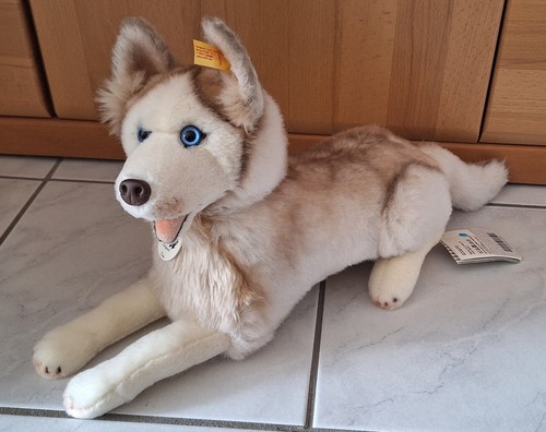 Steiff 033070 siberian - siberian, dui