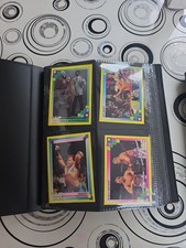 Merlin 1993 WWF Wrestling