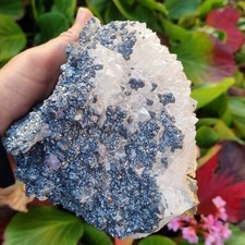 💎Video🌈Top XL Galenit Fluorit Quarz Stufe 15x14x8cm Frazer's Hush Mine England