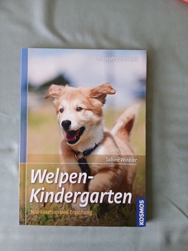 Welpen kindergarten - welpen,