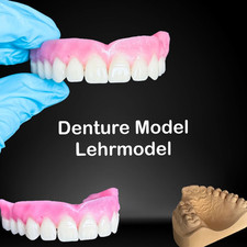 Premium DIY Prothesen Modell, DIY Lehrmodel, Zahn Model Zahntechnik, Schaumodell