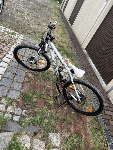 Scott fahrrad zoll - scott,