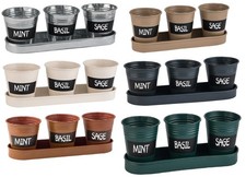 3 Kräutertöpfe mit