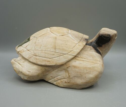 Riesige schildkröte - riesige,
