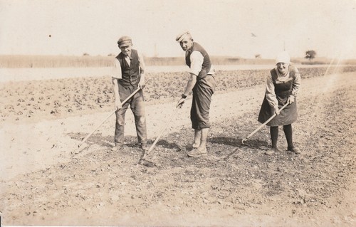 Foto bauern bei der - foto,