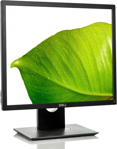 Dell p1917s ips led - dell,
