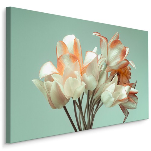 Canvas leinwand bilder - canvas, xxl