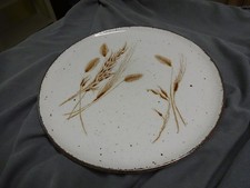 Kuchenteller Kuchenplatte Servierplatte Midwinter Stonehenge Wild Oats 30 cm