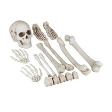 Dekoknochen für halloween Skelett Deko Set Horror Dekoration 12 Teile Kunststoff