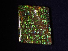 Ammolith  (Kanada)  59,3