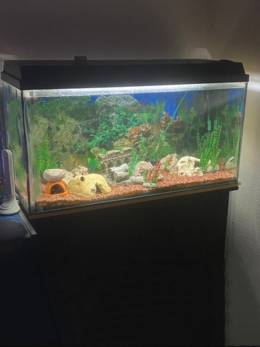 200l aquarium komplett mit - 200l,