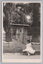 Rome 1956 - Woman in Zoo at