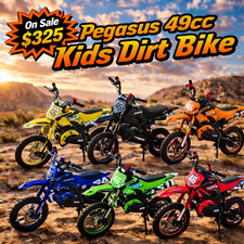 Pegasus 49cc Kids Dirt Bike