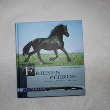 Friesen Pferde: Reiten -