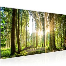 Wandbilder Wald - Bilder grün Natur Landschaft Schlagzimmer Dekoration