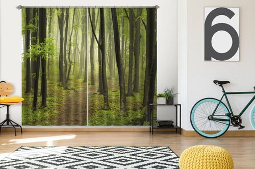 Wald bäume h2217 - 3d,