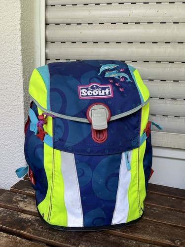 Scout alpha florida - florida, delfin