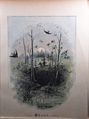 Holzstich 1890 abend von - 1890.,