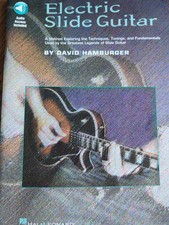 ELEKTRISCHE SLIDE GITARRE von