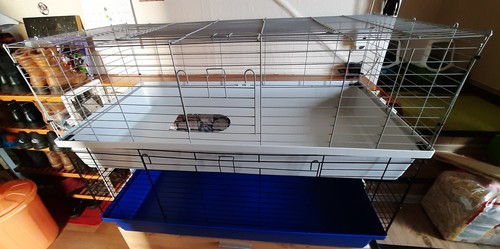 Meerschweinchen käfig 120x60 - meerschweinchen-käfig,
