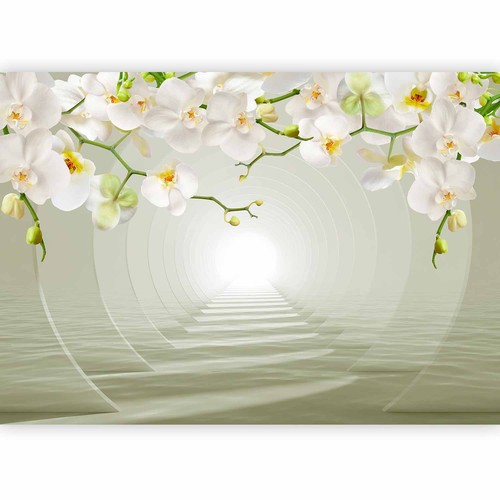 Blumen orchidee optik vlies - optik,
