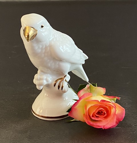 Vogel spatz weiss - vogel,