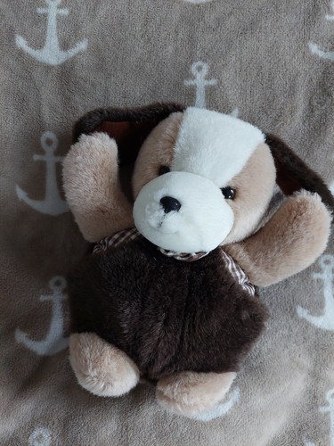 Baby club hund vintage - vintage, alt