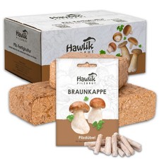 Braunkappe Pilzbeet-Set