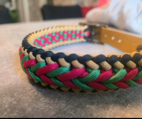 Paracord halsband für hunde - paracord,