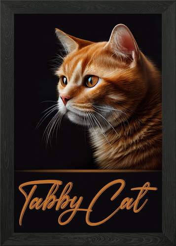 Entzückende tabby katze - entzückende,