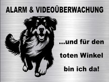 HOVAWART Windhund