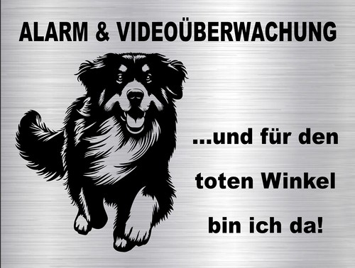 Hovawart windhund - hovawart,