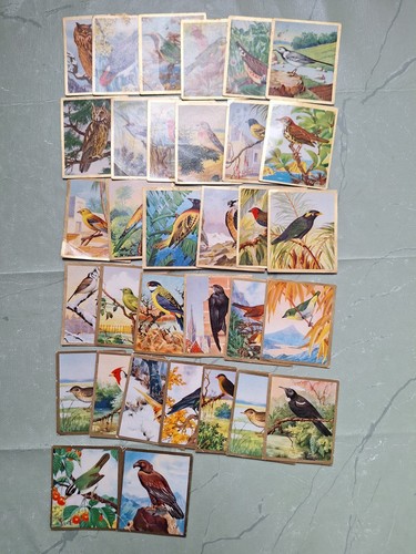 Vintage ddr zigarettenbilder - vintage,
