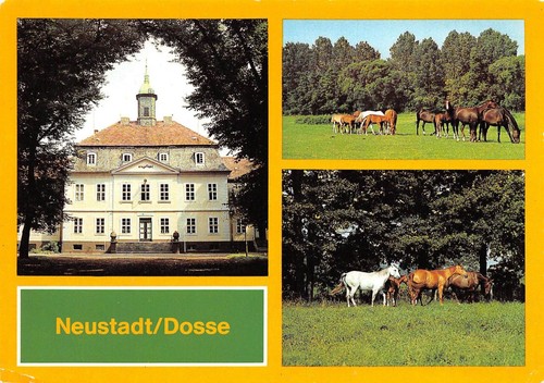 Neustadt dosse hauptgestüt - neustadt/dosse,