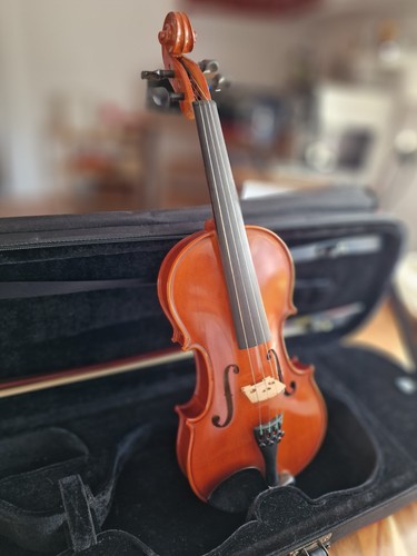 Gewa ideale violine geige - gewa,