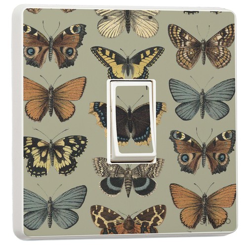 Vintage schmetterling sammlung - vintage,