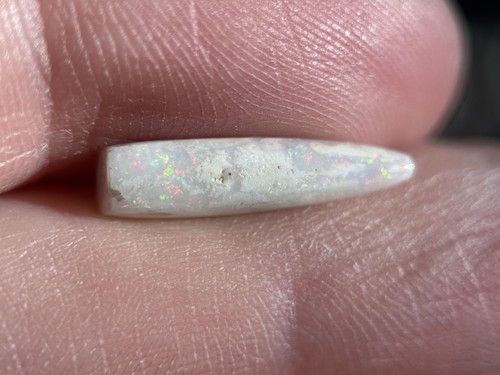 Coober pedy fossiler opal - coober,