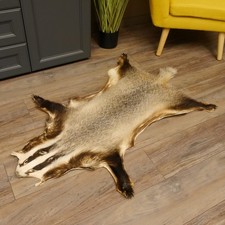 Dachsfell Dachs Fell Decke Fellvorleger Länge 115 cm 87.26.5