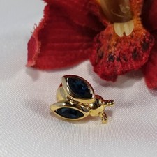 Pierre Lang Pin Käfer Insekt