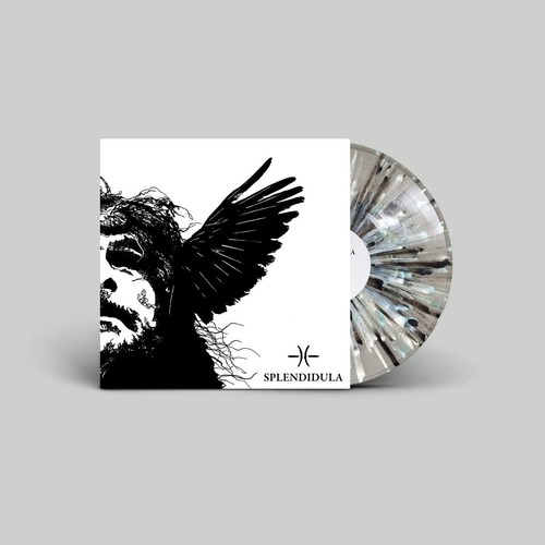 Splendidula somnus - somnus, 12"