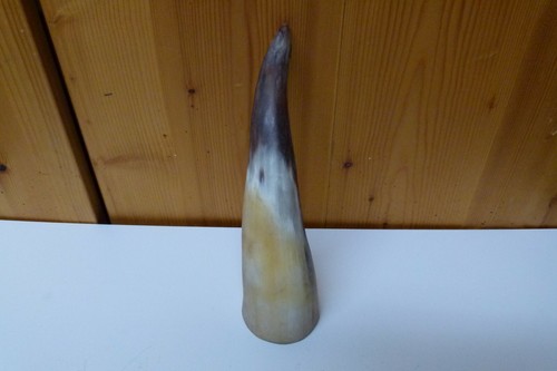Kuhhorn stierhorn rinderhorn - kuhhorn,,