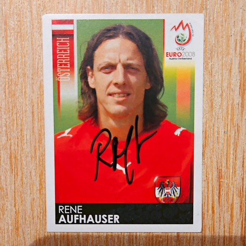 Panini sticker 2008 - sticker,
