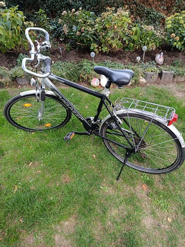 Ragazzi liner herrenfahrrad - ragazzi, 28