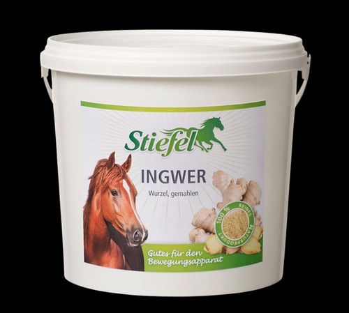 Stiefel ingwer gemahlen 1kg - stiefel,
