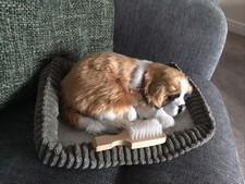 Perfektes Petzzz Welpen- und