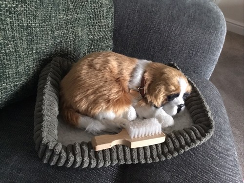Perfektes petzzz welpen und - welpen-,